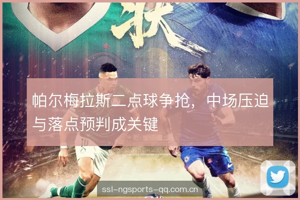 帕尔梅拉斯二点球争抢,中场压迫与落点预判成关键 帕尔梅拉斯二点球争抢,中场压迫与落点预判成关键